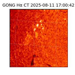 gong - 2025-08-11T17:00:42