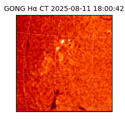 gong - 2025-08-11T18:00:42