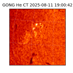 gong - 2025-08-11T19:00:42