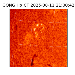 gong - 2025-08-11T21:00:42