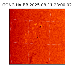 gong - 2025-08-11T23:00:02