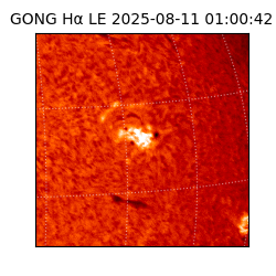 gong - 2025-08-11T01:00:42