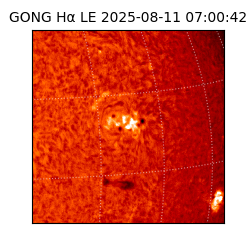 gong - 2025-08-11T07:00:42