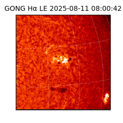 gong - 2025-08-11T08:00:42