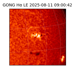 gong - 2025-08-11T09:00:42