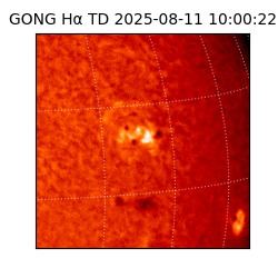 gong - 2025-08-11T10:00:22