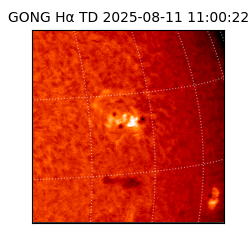 gong - 2025-08-11T11:00:22