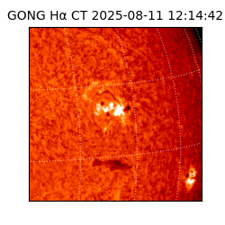 gong - 2025-08-11T12:14:42