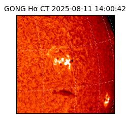 gong - 2025-08-11T14:00:42