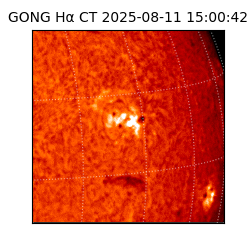 gong - 2025-08-11T15:00:42