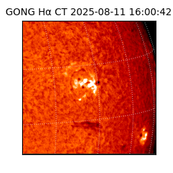 gong - 2025-08-11T16:00:42