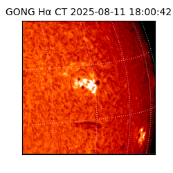 gong - 2025-08-11T18:00:42