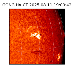 gong - 2025-08-11T19:00:42