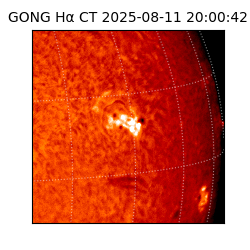 gong - 2025-08-11T20:00:42