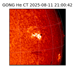 gong - 2025-08-11T21:00:42