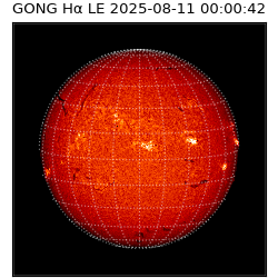 gong - 2025-08-11T00:00:42