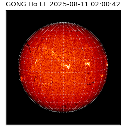 gong - 2025-08-11T02:00:42