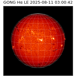 gong - 2025-08-11T03:00:42
