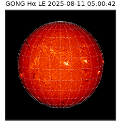 gong - 2025-08-11T05:00:42