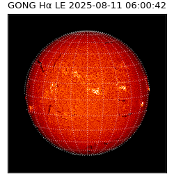gong - 2025-08-11T06:00:42
