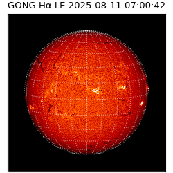 gong - 2025-08-11T07:00:42