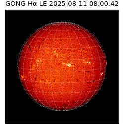 gong - 2025-08-11T08:00:42