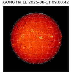 gong - 2025-08-11T09:00:42