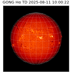 gong - 2025-08-11T10:00:22