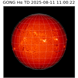 gong - 2025-08-11T11:00:22