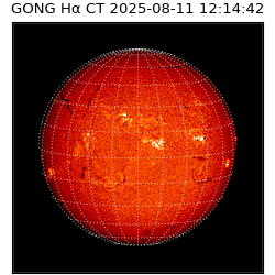 gong - 2025-08-11T12:14:42