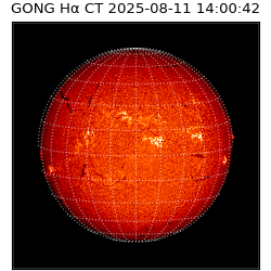 gong - 2025-08-11T14:00:42
