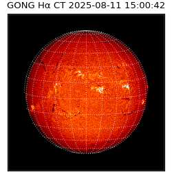 gong - 2025-08-11T15:00:42