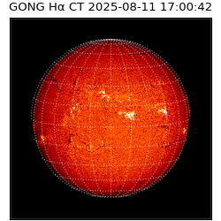 gong - 2025-08-11T17:00:42
