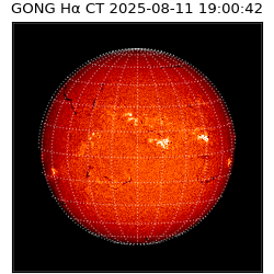 gong - 2025-08-11T19:00:42