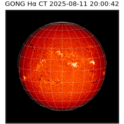 gong - 2025-08-11T20:00:42