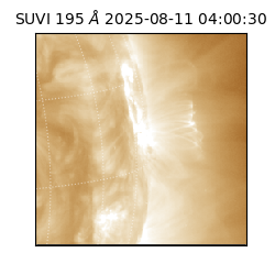 suvi - 2025-08-11T04:00:30.101000