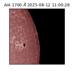 saia - 2025-08-12T11:00:28.718000