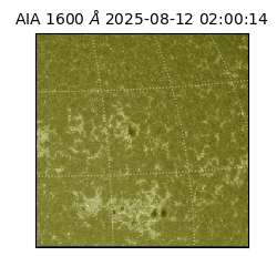 saia - 2025-08-12T02:00:14.122000