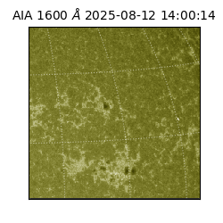 saia - 2025-08-12T14:00:14.125000