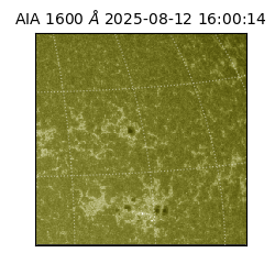 saia - 2025-08-12T16:00:14.126000