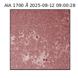 saia - 2025-08-12T09:00:28.718000