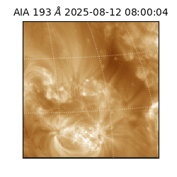 saia - 2025-08-12T08:00:04.843000