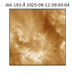 saia - 2025-08-12T09:00:04.843000