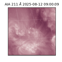 saia - 2025-08-12T09:00:09.626000