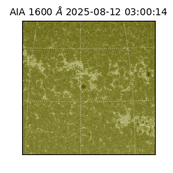 saia - 2025-08-12T03:00:14.126000