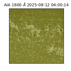 saia - 2025-08-12T04:00:14.126000