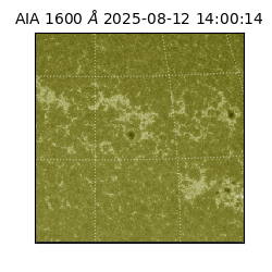 saia - 2025-08-12T14:00:14.125000