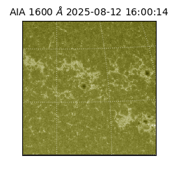 saia - 2025-08-12T16:00:14.126000