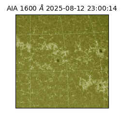 saia - 2025-08-12T23:00:14.123000