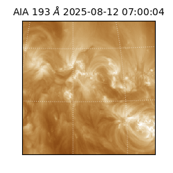 saia - 2025-08-12T07:00:04.843000